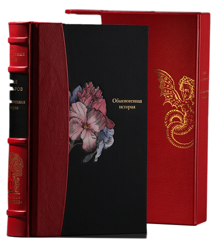 И. А. Гончаров «Обыкновенная история»