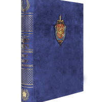 Книга Щит и меч