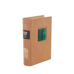 А. С. Пушкин «Евгений Онегин»