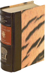 Шота Руставели «Витязь в тигровой шкуре»